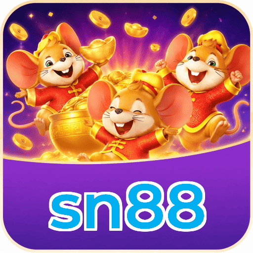 sn88 Troubleshooting
